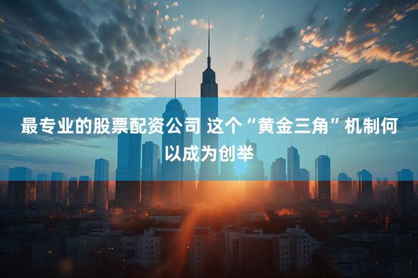 最专业的股票配资公司 这个“黄金三角”机制何以成为创举